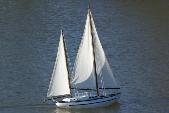 DSC02876 © Peter Taylor 2010
