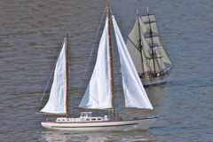DSC09751 © Peter Taylor 2012
