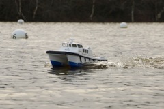 DSC02323 © Peter Taylor 2012