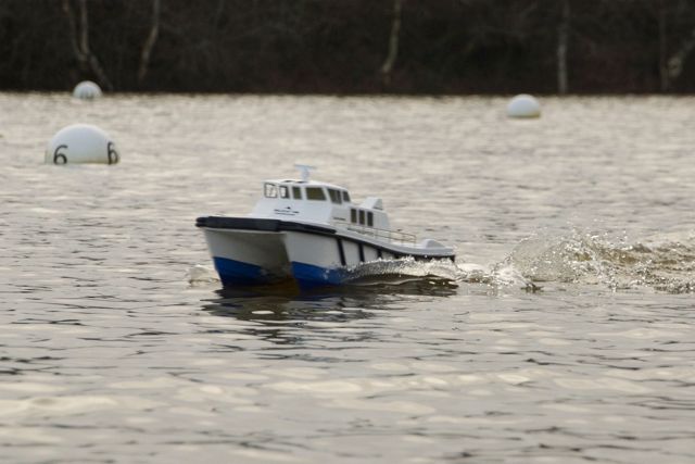 DSC02323 © Peter Taylor 2012