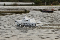 DSC02318 © Peter Taylor 2012