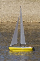 DSC09619 © Peter Taylor 2012