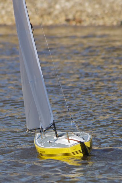 DSC09620 © Peter Taylor 2012