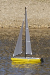 DSC09619 © Peter Taylor 2012