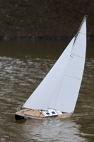 DSC03687 © Peter Taylor 2011