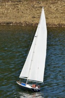 DSC08368 © Peter Taylor 2011