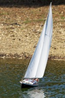 DSC08359 © Peter Taylor 2011