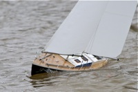 DSC03689  © Peter Taylor 2011