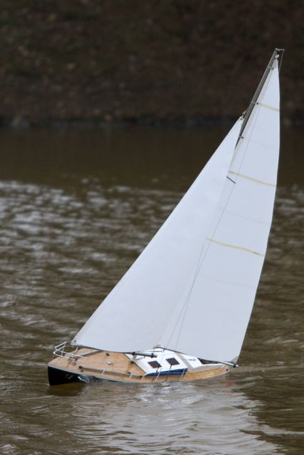 DSC03687 © Peter Taylor 2011