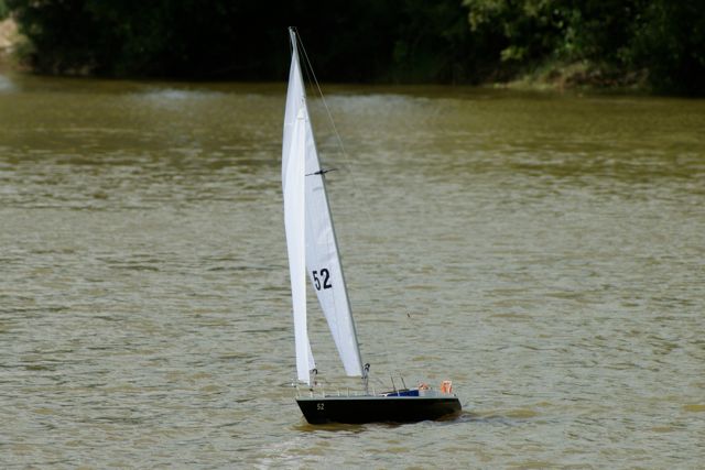 DSC01753 © Peter Taylor 2010