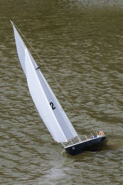 DSC03347 © Peter Taylor 2010