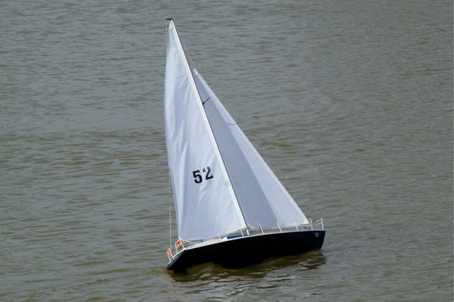 DSC03341 © Peter Taylor 2010