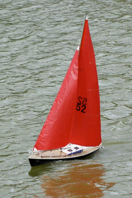 DSC01519 © Peter Taylor 2009