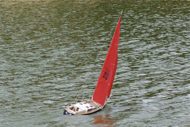 DSC01515 © Peter Taylor 2009