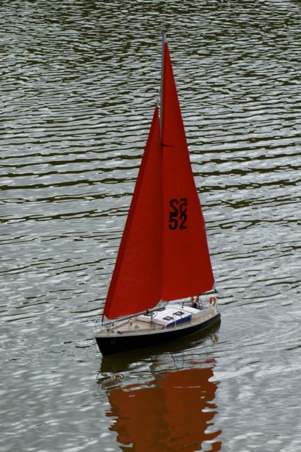 DSC00142  © Peter Taylor 2009