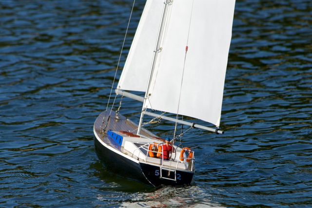 DSC08357 © Peter Taylor 2011