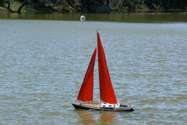 DSC09404 © Peter Taylor 2009