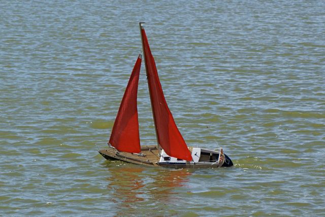 DSC09403 © Peter Taylor 2009