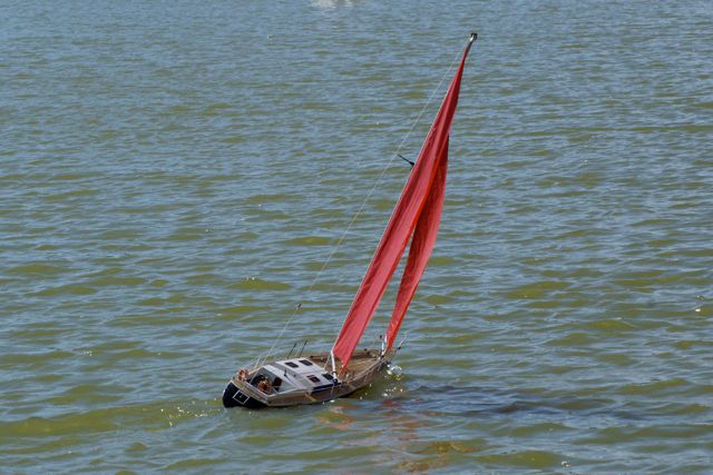 DSC09402 © Peter Taylor 2009