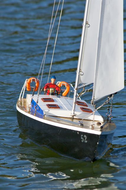 DSC08363 © Peter Taylor 2011