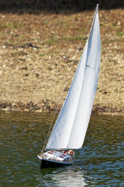 DSC08359 © Peter Taylor 2011