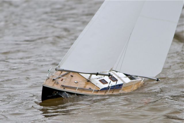 DSC03689  © Peter Taylor 2011