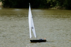 DSC01753 © Peter Taylor 2010