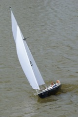 DSC03349 © Peter Taylor 2010