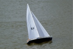 DSC03341 © Peter Taylor 2010
