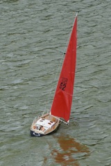 DSC01523 © Peter Taylor 2009