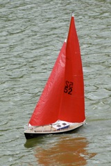 DSC01519 © Peter Taylor 2009
