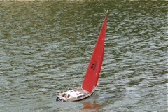 DSC01515 © Peter Taylor 2009