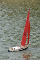 DSC01514 © Peter Taylor 2009