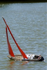 DSC09405 © Peter Taylor 2009