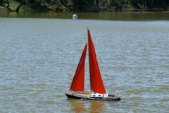 DSC09404 © Peter Taylor 2009