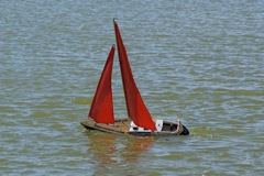 DSC09403 © Peter Taylor 2009