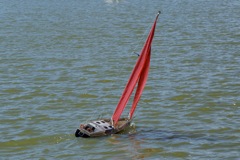 DSC09402 © Peter Taylor 2009