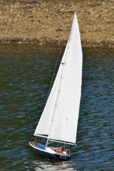 DSC08368 © Peter Taylor 2011