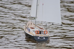 DSC03730 © Peter Taylor 2011