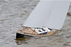 DSC03689  © Peter Taylor 2011