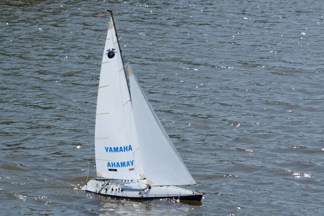 A100.08041606  © Peter Taylor 2008