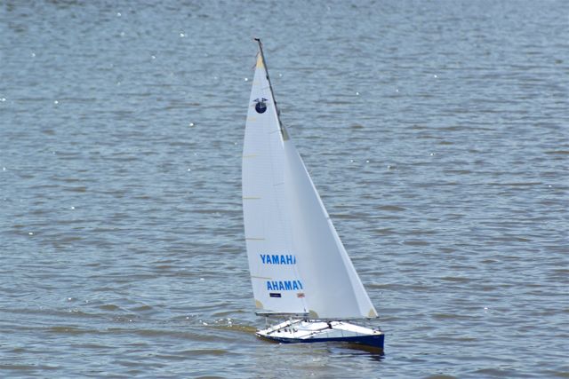 A100.08041605  © Peter Taylor 2008