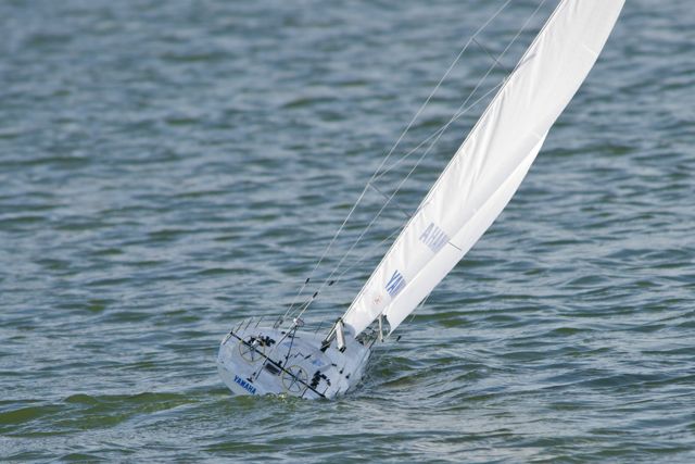DSC08585 © Peter Taylor 2011
