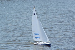 A100.08041605  © Peter Taylor 2008