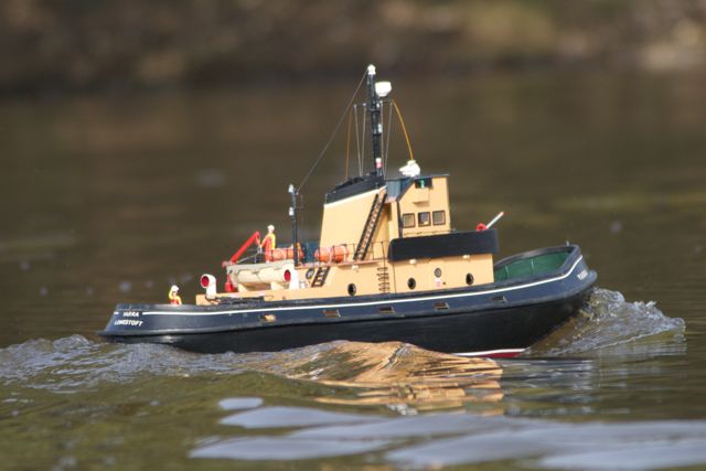 DSC01123 © Peter Taylor 2013