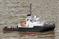 DSC05736 © Peter Taylor 2011
