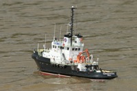 DSC05728 © Peter Taylor 2011
