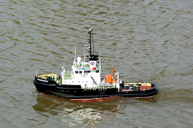  A100.08042111 © Peter Taylor 2008