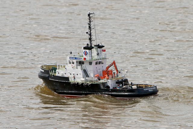 DSC07060 © Peter Taylor 2011