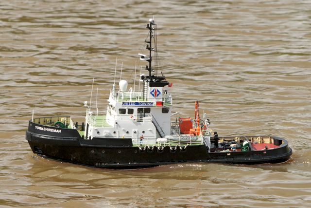 DSC05723 © Peter Taylor 2011